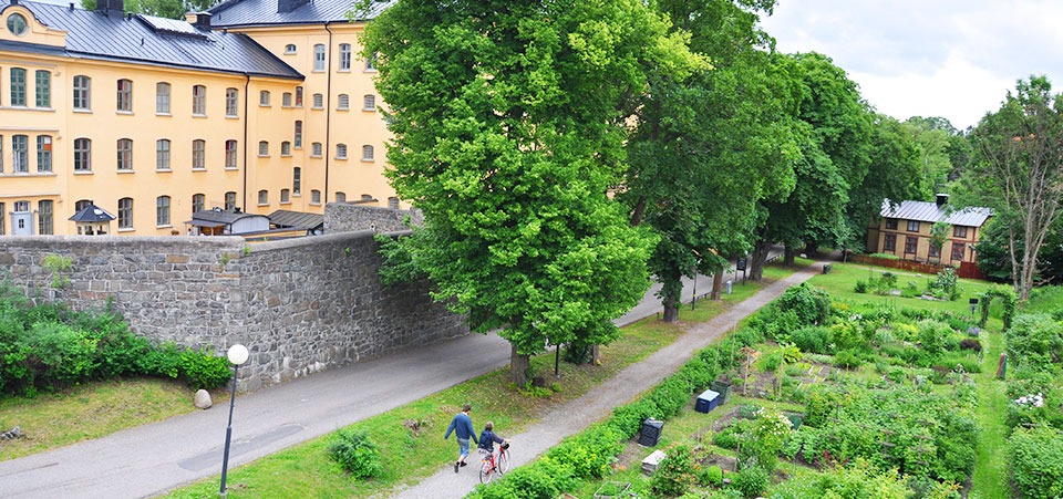 Parkmiljö på Långholmen Parkmiljö på Långholmen